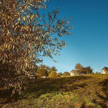 Scandinave Chalet Bran Zărneşti المظهر الخارجي الصورة