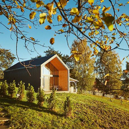 Scandinave Chalet Bran Zărneşti المظهر الخارجي الصورة