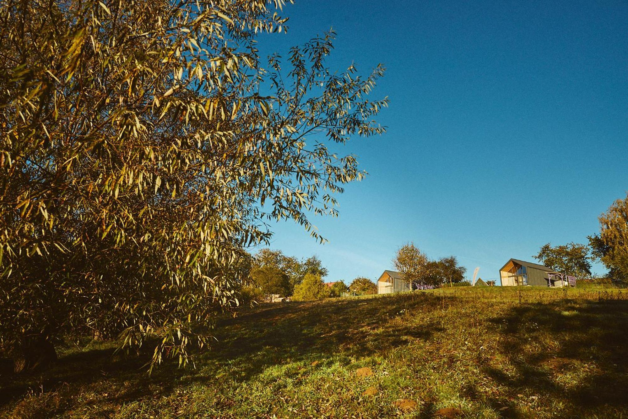 Scandinave Chalet Bran Zărneşti المظهر الخارجي الصورة