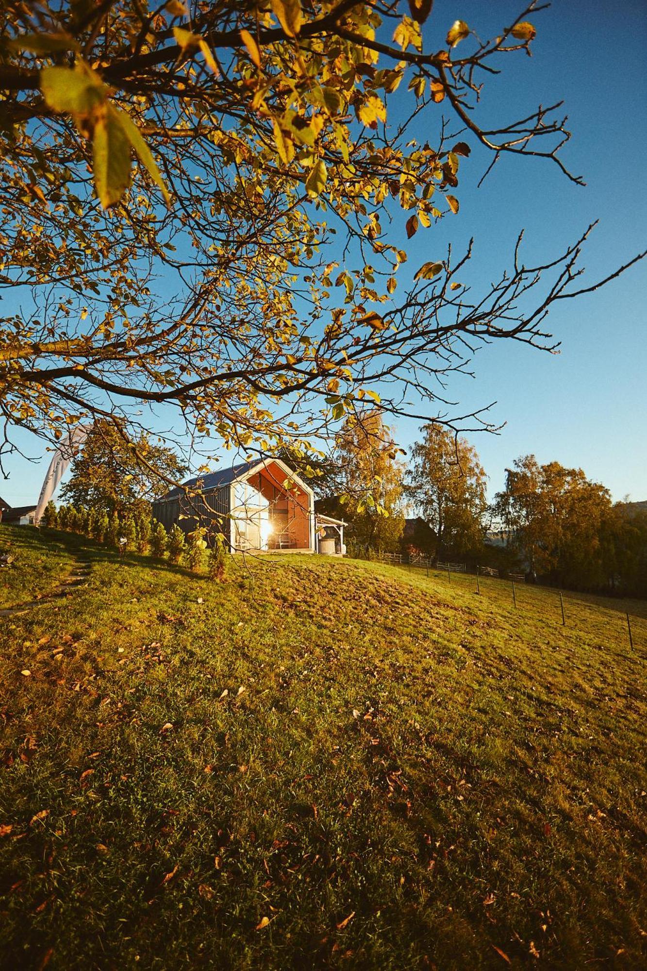 Scandinave Chalet Bran Zărneşti المظهر الخارجي الصورة