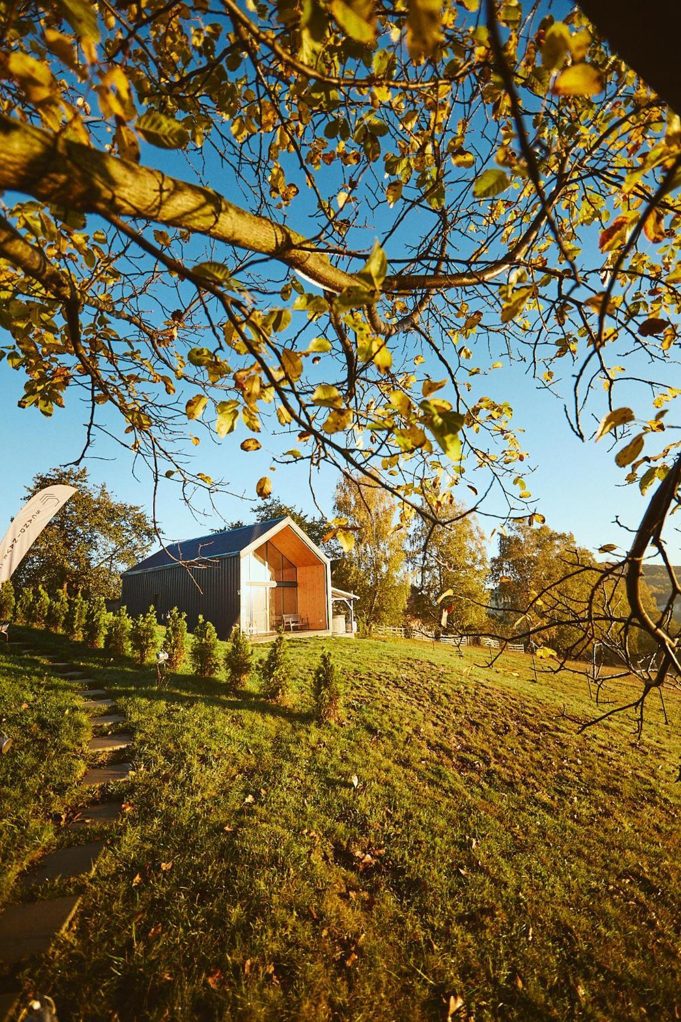 Scandinave Chalet Bran Zărneşti المظهر الخارجي الصورة