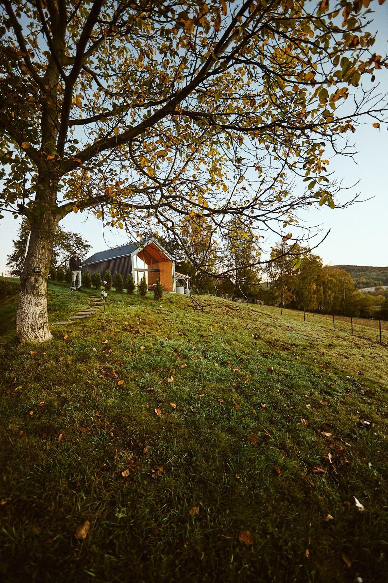 Scandinave Chalet Bran Zărneşti المظهر الخارجي الصورة