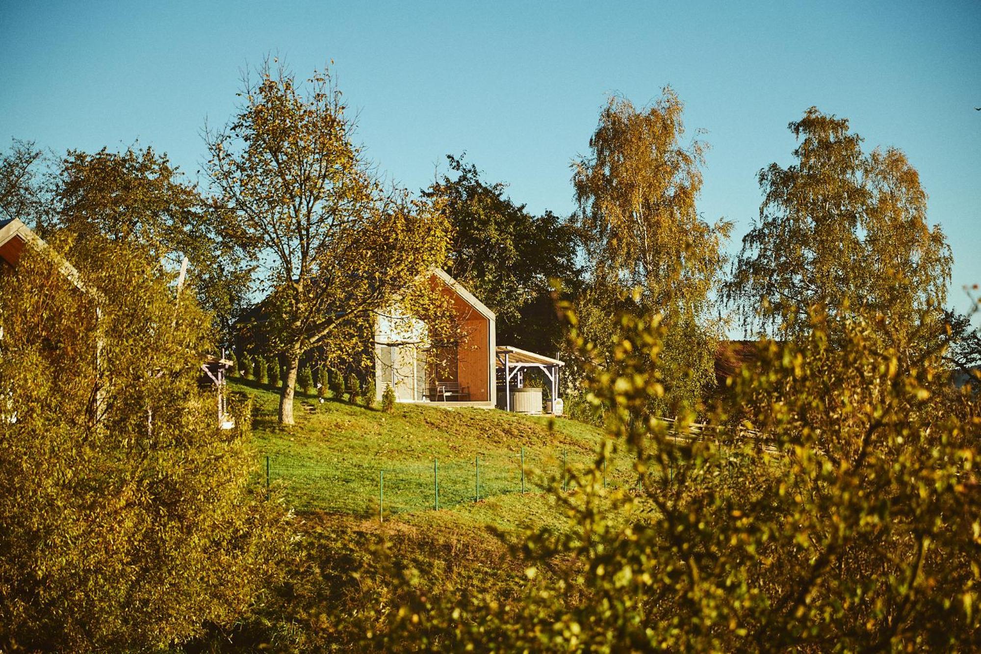 Scandinave Chalet Bran Zărneşti المظهر الخارجي الصورة