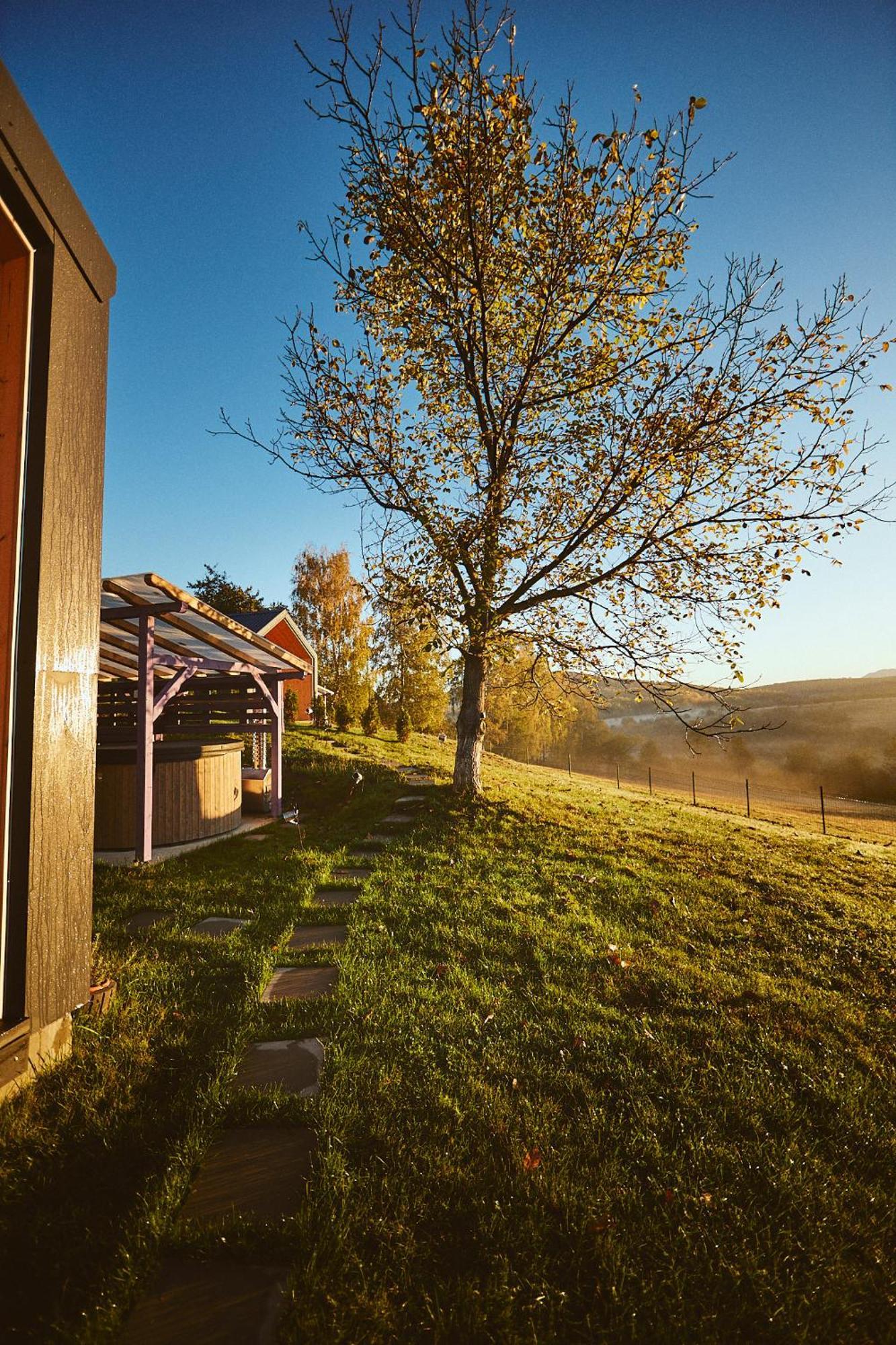 Scandinave Chalet Bran Zărneşti المظهر الخارجي الصورة