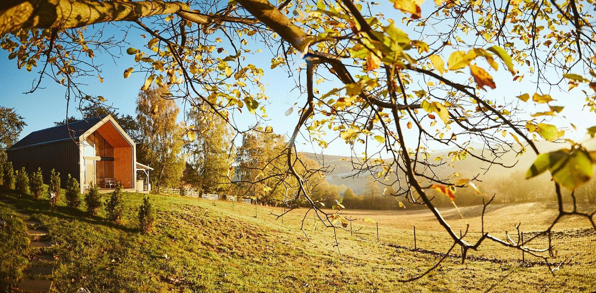 Scandinave Chalet Bran Zărneşti المظهر الخارجي الصورة