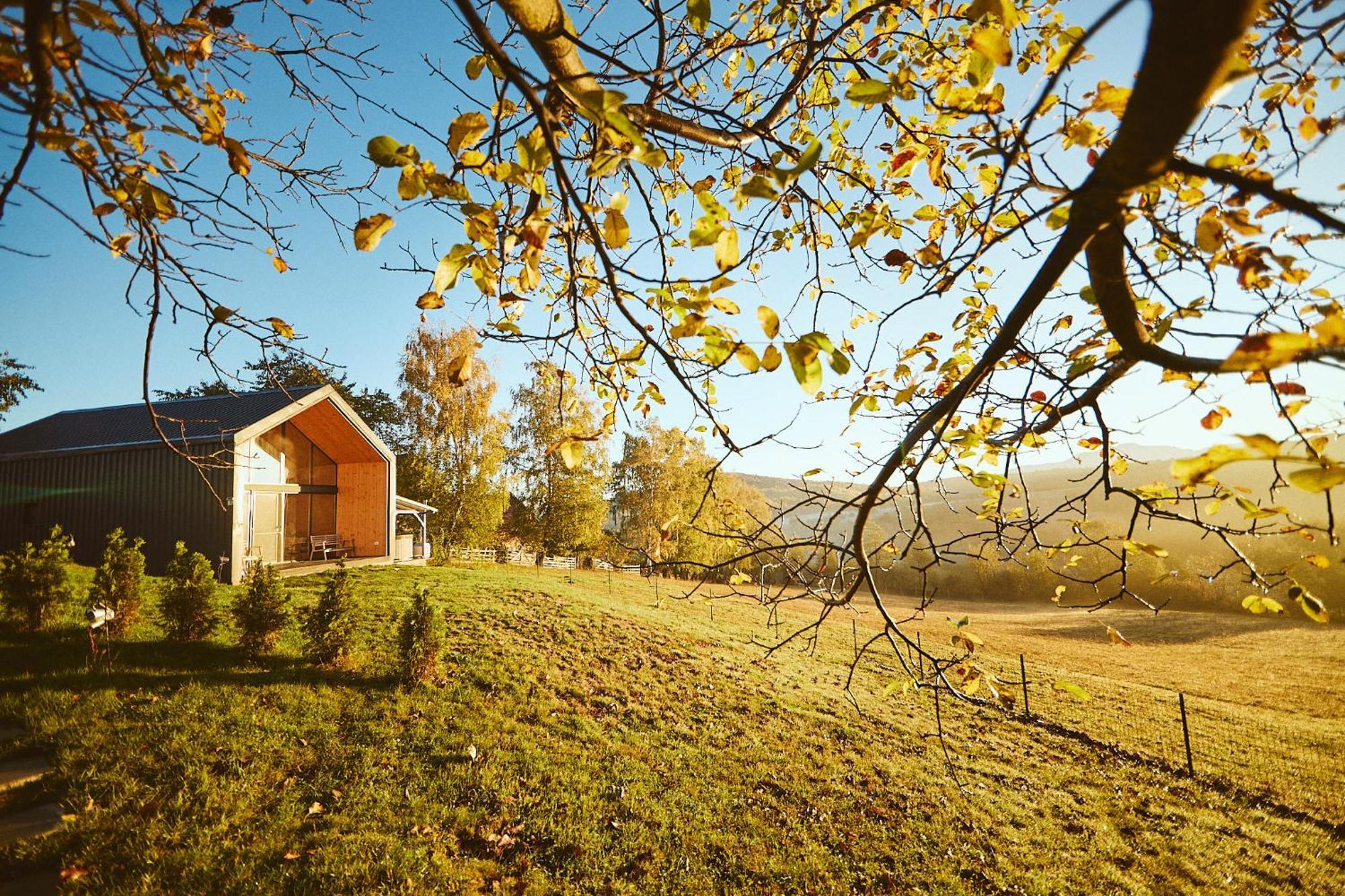 Scandinave Chalet Bran Zărneşti المظهر الخارجي الصورة