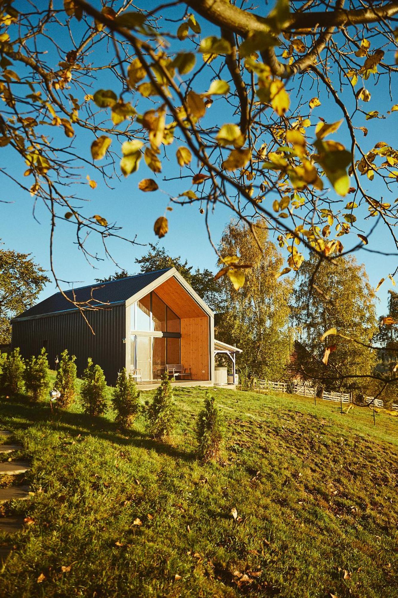 Scandinave Chalet Bran Zărneşti المظهر الخارجي الصورة