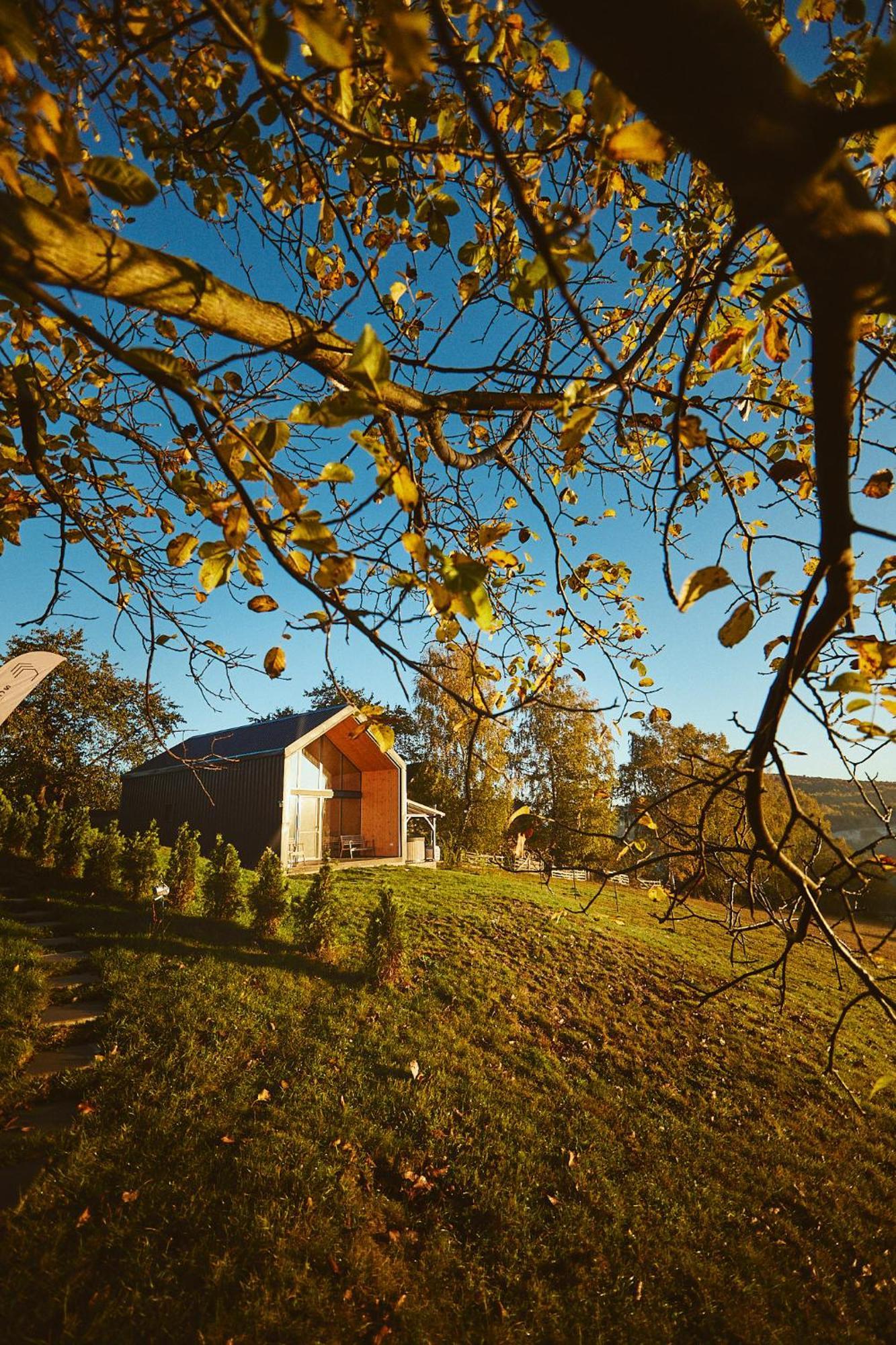 Scandinave Chalet Bran Zărneşti المظهر الخارجي الصورة