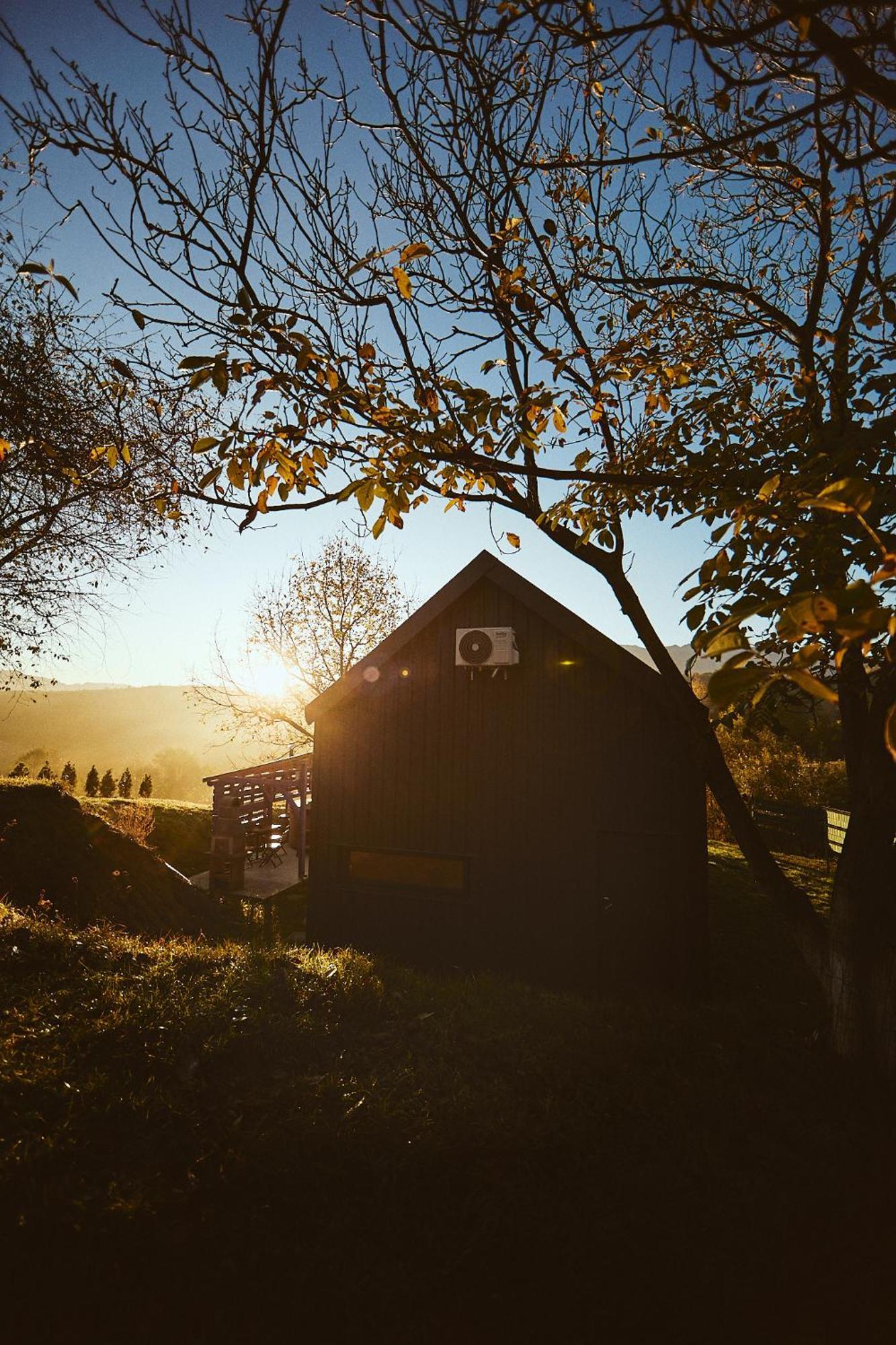 Scandinave Chalet Bran Zărneşti المظهر الخارجي الصورة